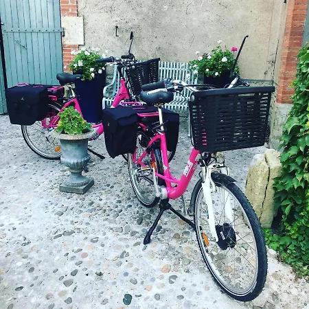 Le Chai De Marguerite Affittacamere Peyriac-Minervois