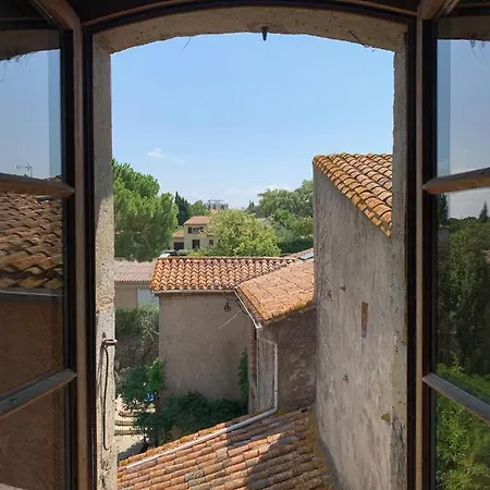 Le Chai De Marguerite 3* Peyriac-Minervois