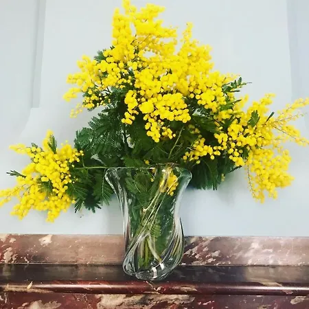 Le Chai De Marguerite