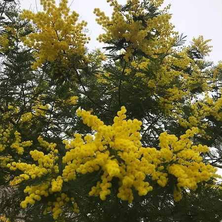 Le Chai De Marguerite Vendégház Peyriac-Minervois