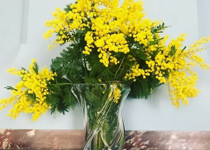 Le Chai De Marguerite
